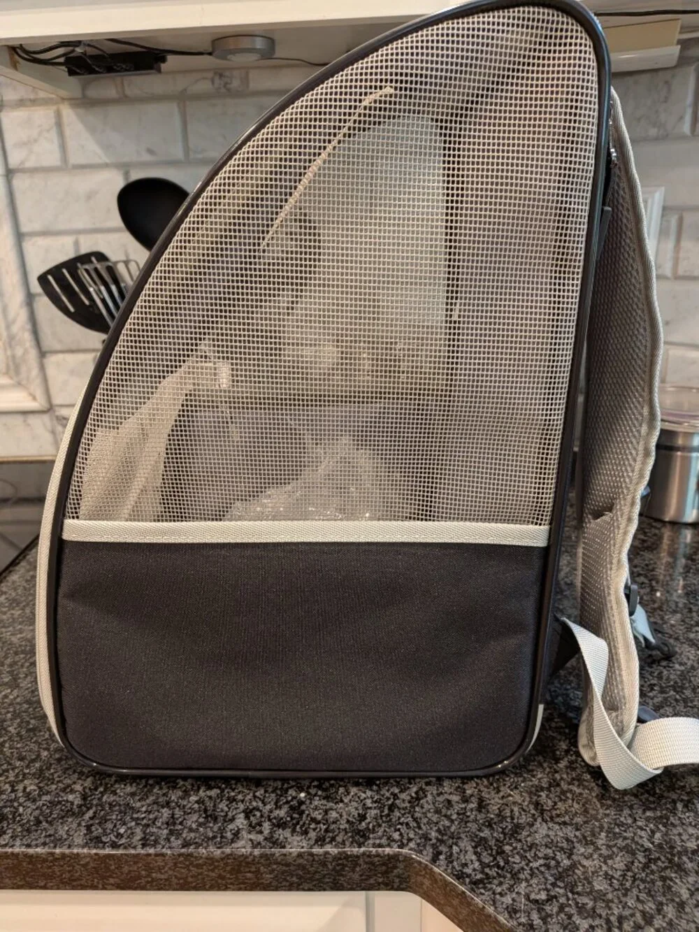 Traveler Backpack Pet Carriers for Cats and Dogs (Black)